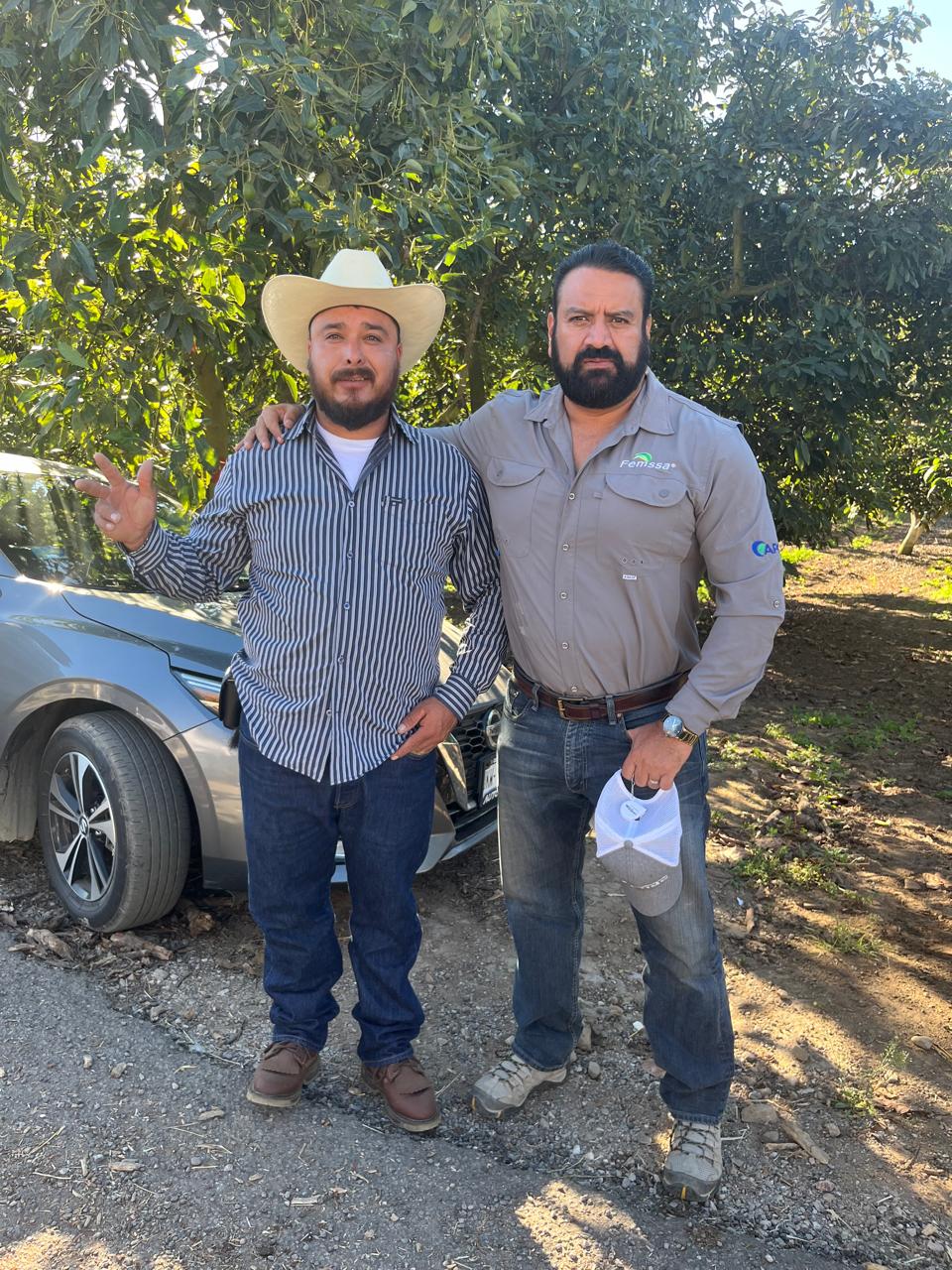 Master Poda con productor en huerto de aguacate