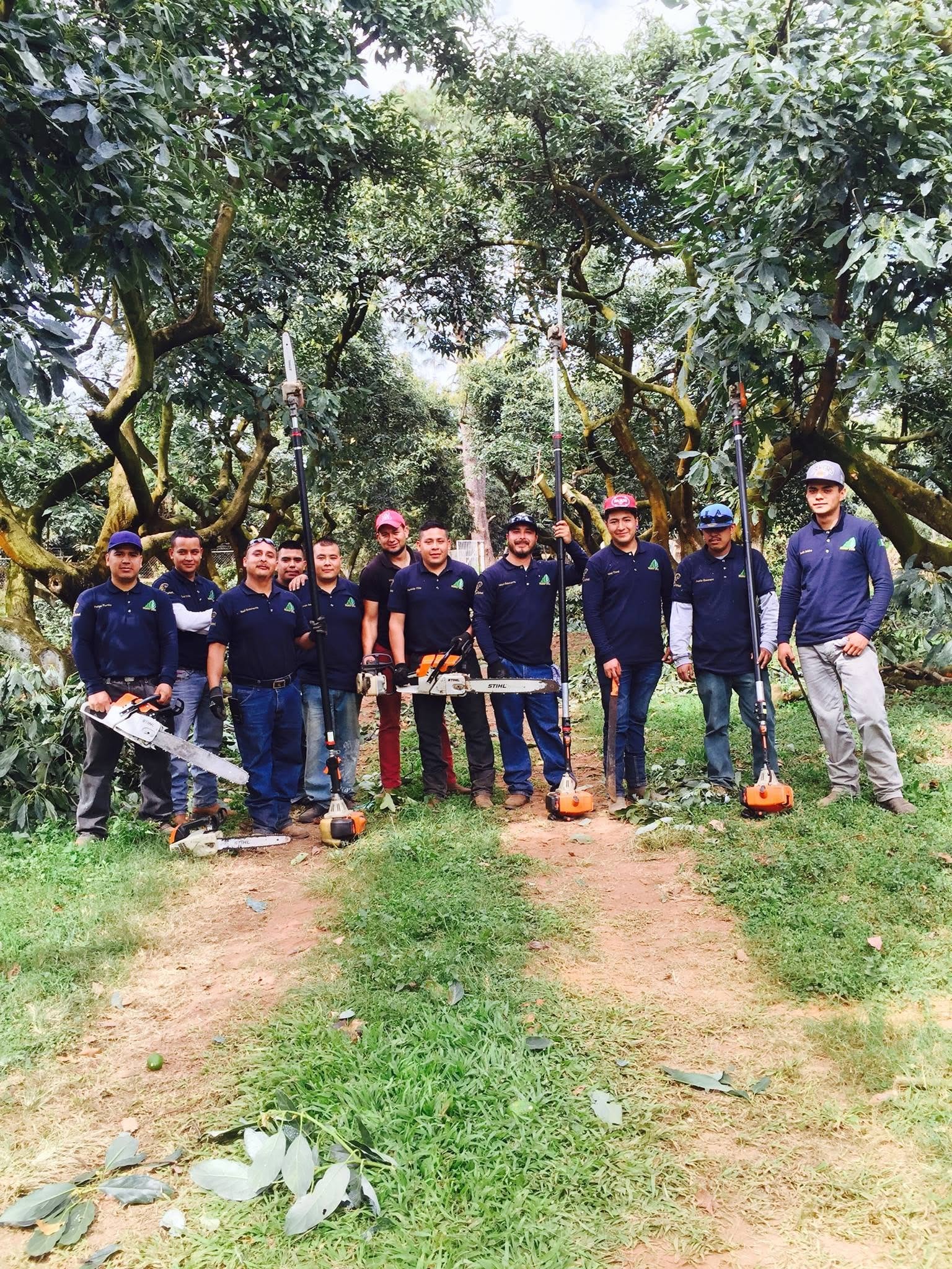 Equipo Master Poda en huerto