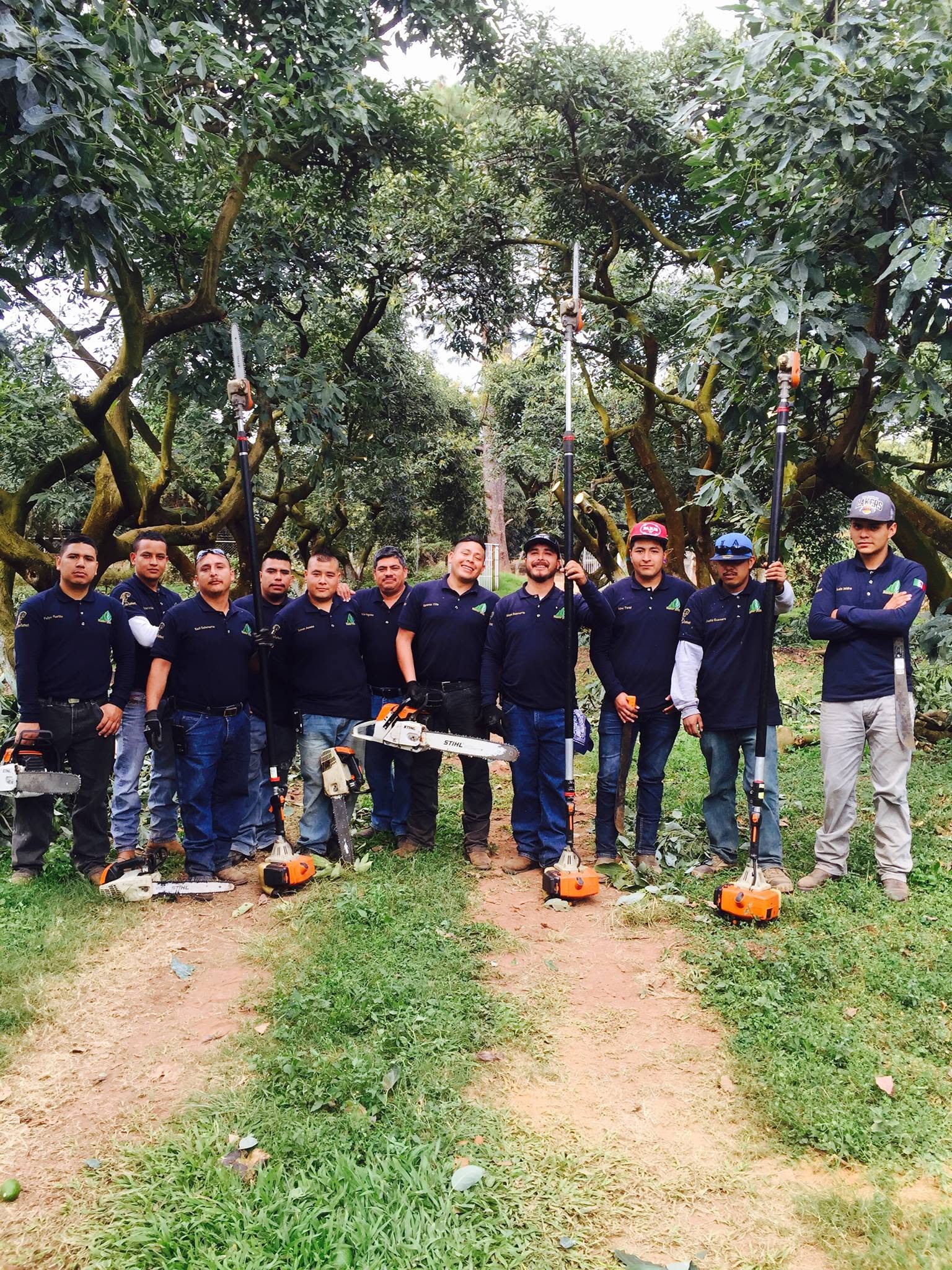 Equipo Master Poda con herramientas en huerto